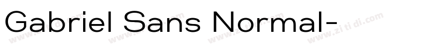 Gabriel Sans Normal字体转换